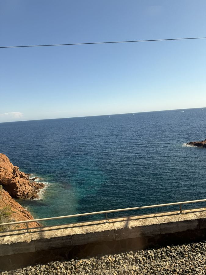 Photo from Day 4, The train south, Old Nice, the castle steps