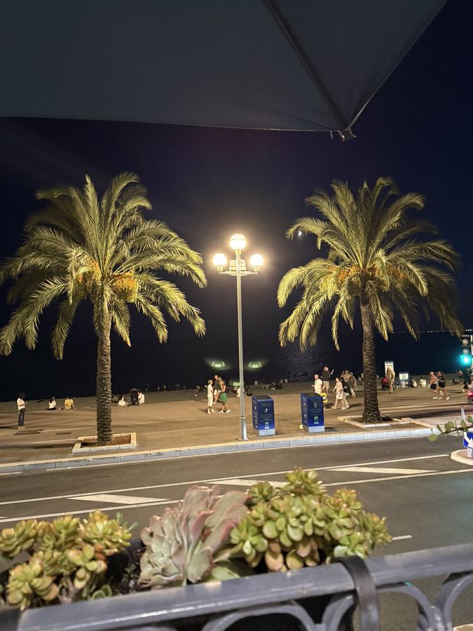 Photo from Day 4, The train south, Old Nice, the castle steps